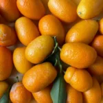 Kumquats nebeneinander