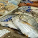Dorade auf dem Fischmarkt