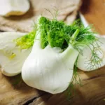 Fenchel